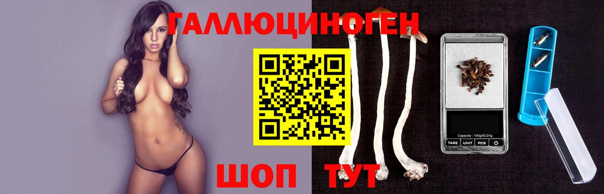 Псилоцибиновые грибы Psilocybine cubensis Алатырь