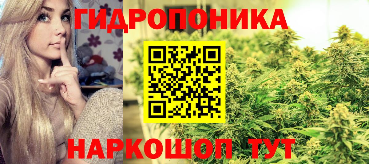 Бошки Шишки ГИДРОПОН  Каннабис AK-47  Вход с VPN  Алатырь  Конопля AK-47  Шишки марихуана Ganja 